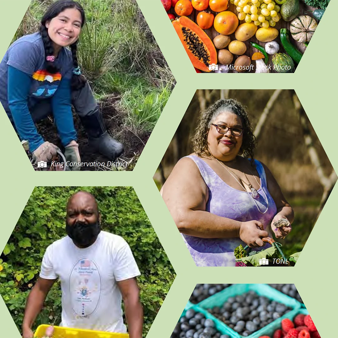 Collage of diverse individuals gardening and harvesting fresh produce in community food and outdoor settings